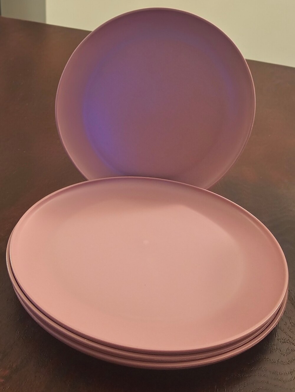 NWT 4 Pack Room Essentials 10.5" Dinner Plates- Pale Raspberry Pink